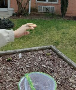 Releasing Butterflies