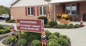 Fall Decor, 2025