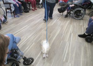 Pet Visit and Humane Society Donation, 2026