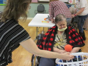 Country Fair and Carnival