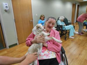 Nursing Home Week 2013