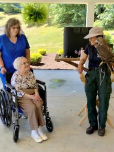 Birds of the Wild Flying High