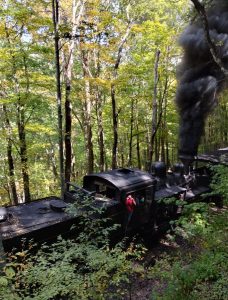 Cass Scenic Railroad Trip, Summer 2025