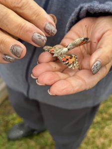 Butterflies Released, March 2026