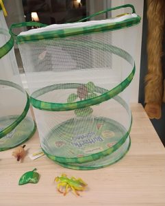 Butterflies, Praying Mantis and Robins, Spring Has Sprung 2026