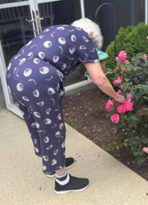 Reflections New Outdoor Space and Gazebo