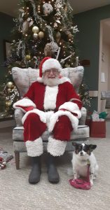 Molly's Christmas Photos, 2025