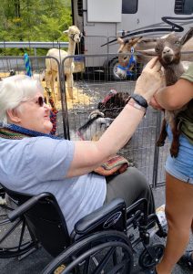 Snuggles and Snouts Petting Zoo, Summer 2026